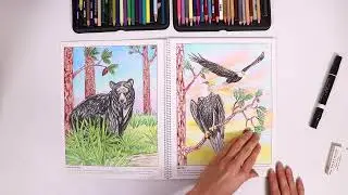 Coloring Through Wild Florida Flip Through
