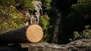 A Perfect Day at the Park &mdash; Until Something Fell From Above | True Crime