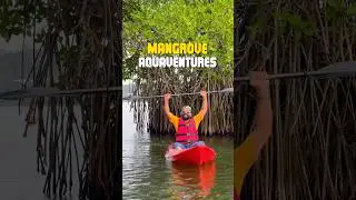 Best Kayaking Spot In Kollam 🔥| Mangrove aqua ventures 👌| Paravoor |💥
