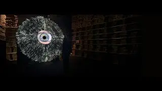 Colloculi/ We Are Art di Annalaura di Luggo presentato alla Fondazione Banco Napoli