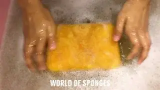 PINALEN Rinse water Feat. grout