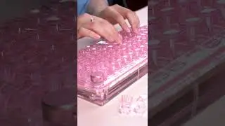 New! Version! | KiiBOOM Phantom 81 V2 Pink