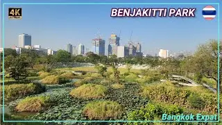 Central Forest park and Benjakitti Dog Park NOW Popular with Expats in Bangkok