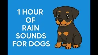 1HR Rain + Heartbeat Sleep Music for Puppies #dogsounds #rain #puppymusic #dogtv #sleepmusicfordogs