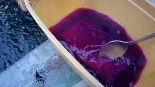 Potassium Bath for Koi (for new ones and for the ones that you will transfer to main pond)