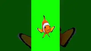 Video Green Screen Fish #2026 #greenscreen #fish