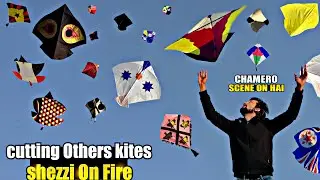 Looting Kites Scene On|| Cuting others Kites || Kite Flying Video 2026 🤩