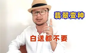 翡翠變種，白送都不要！！手把手教你，如何識別玉石變種（下）