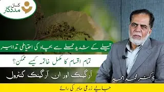 Tailay Kai Hamle Kai Nuksanat | Taila Kin Faslon Par Hamla krta hai | Aphids Attack | تیلے کا حملہ