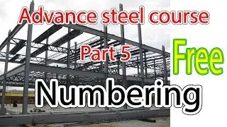 advance steel multi story building course part 5 - Numbering