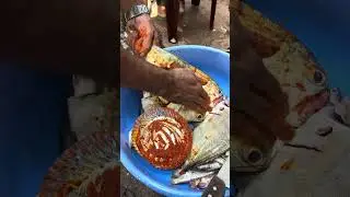Caught fresh Fish from the Sea and Cooking it on a grill #fishing #fish #fishfry #foodie #goafish