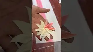 #Chocolate fan design#kumarsir #diy #style #food #trustonallah #SITTING #shorts #design#short #art
