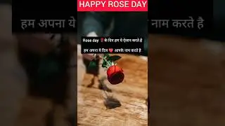 Rose day🌹 status 2023/Happy Rose day ❤️ WhatsApp status/ Rose day shayari status #shorts #ytshorts