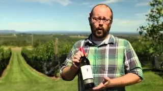 4 Nova Scotia Winemakers Recommend 4 Great Local Wines
