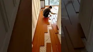 Installing Laminate Flooring Laying Brown Wood Planks in a Room