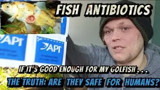 Can I Use Fish Antibiotics to Treat My Own Infections? Are They Safe &Cheap Meds or Risky DIY Drugs?