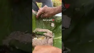 Bless our Filipino farmers 🇵🇭❤️ #philippines #discoverph  #filipinofood #filipino #pinoyculture