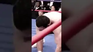Legendary #boxing #heavyweight Kliczko vs Peter Nigerian Nightmare #champion #shorts