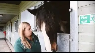 Sparsholt Student- Hana Wilson, Horse Trust