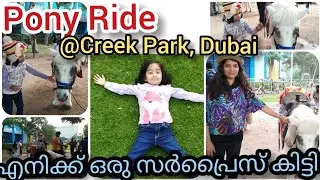 #Dubai #UAE #Sharjah Pony Ride/#Creek Park/Entertainment /Dolphinarium /Playground