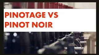 Pinotage vs Pinot Noir: What's the Difference