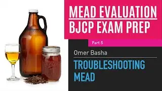 BJCP Mead Exam Prep Course - Part 5 - Troubleshooting Mead