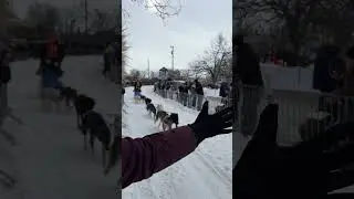 2023 Klondike Dog Derby #dog #dogsled #race #snow #snowmobile #highfive