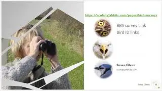 Breeding Bird Survey Lab - Data Collection