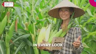 🎬 VIETNAM TELLS ITS STORY WITH EMOTIONS AT THE 19TH ITE HCMC 2025