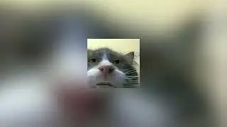 The Middle -  SPED UP