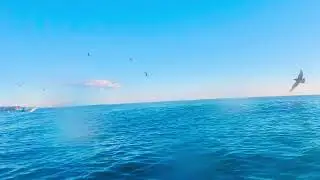 Relax BGM 012