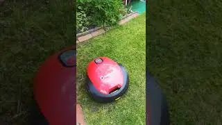 Robomow Rx12u ( D&ouml;rte) und ihr H&auml;uschen M&auml;hroboter Garage