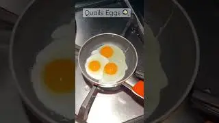 Perfect Fried Quail Eggs 🐣🍳 #shorts #satisfying #food #breakfast #egg #quail