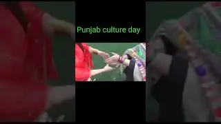 punjab culture day WhatsApp status &hearts;️.#punjabi