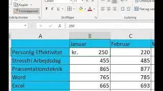 Excel kursus #6 | Excel formatering