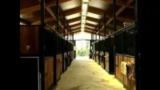 Spot Rinco Toninelli