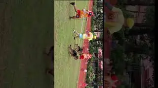 🇵🇭Philippine Pre Sieger Show 2025🇵🇭 German Shepherd Dogs 