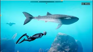 Beyond Blue PC Gameplay