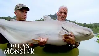 Expedition zu riesigen Flussfischen | Fluss Monster