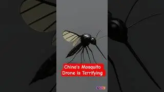 China&rsquo;s Mosquito Drone Is Terrifying! 🦟🤖