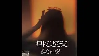 BLACK 069 - FAKE LIEBE (Official Video)