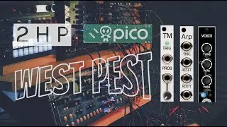 West Pest Synth + Erica Pico Voice + 2HP TM - 2HP Arp Combo - Sounds/Tone Clip