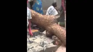 Ganesh nimajjanam lo lady's kolahalam in Alagadapa