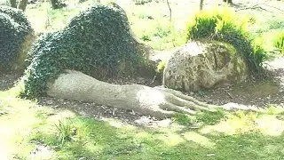The Lost Gardens of Heligan, Cornwall, England