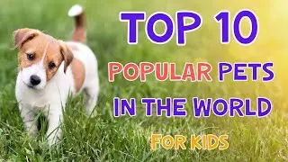 Discover the Top 10 National Pets Across the Globe