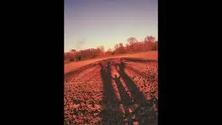 Arkhives Moth - Ugar