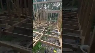 Walls almost done #diy #homestead #offgrid #woods #framing  #building #construction