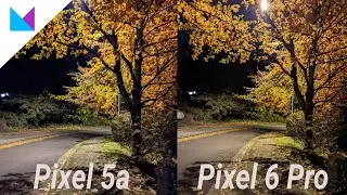 Pixel 6 Pro vs Pixel 5a camera comparison