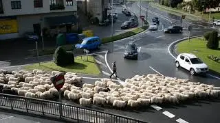 UZTARRIA.EUS - Abel eta ardiak