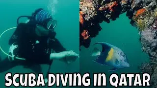 SCUBA DIVING in QATAR | Post Covid19 Restrictions | English Substitles